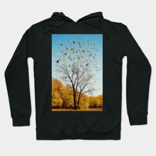 Letting Go Hoodie